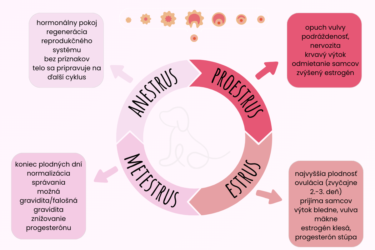 háranie-infografika-png